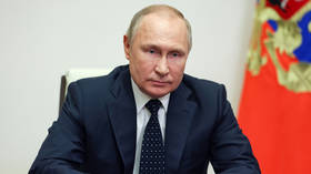 Russia not to blame for global food crisis – Putin