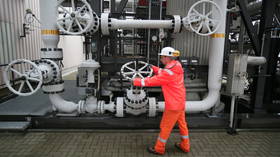 德国工业界对俄罗斯的天然气禁运发出警告