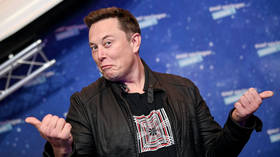 Musk questions establishment silence over Epstein client list