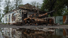 Kiev reveals its weapons losses