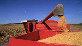 Ukraine reports plummeting grain exports