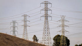 US power companies brace for supply crisis – Reuters