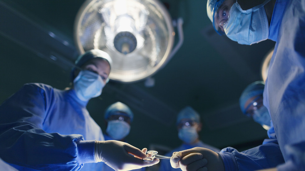Researchers make transfer on animal organ transplant for people – media — RT World Information