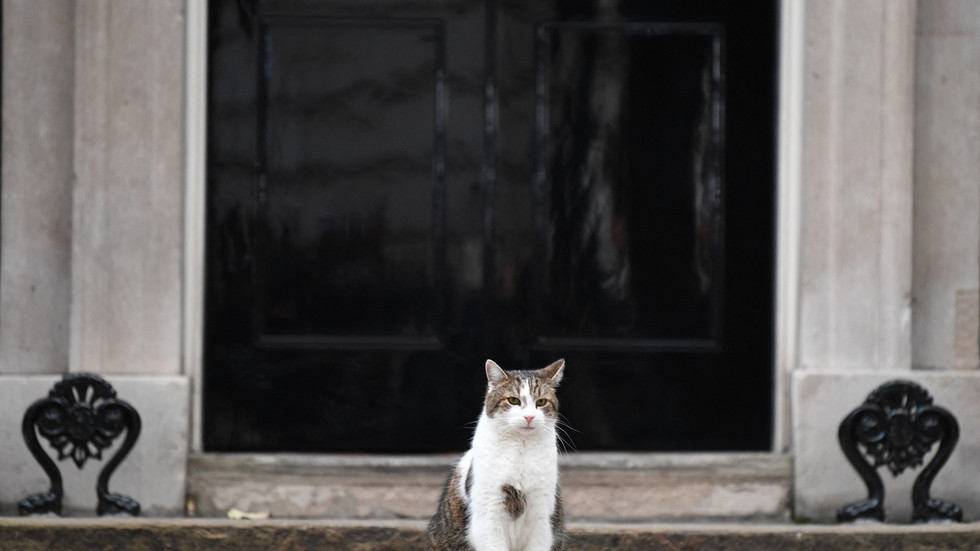 PM Johnson’s recreation of cat and mouse over quickly – Chief Mouser — RT World Information