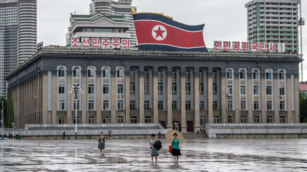 North Korea responds to Ukraine’s criticism — RT World Information