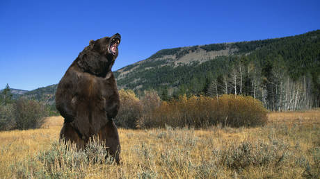 US recession whispers becoming a roar – Politico