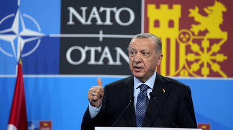 FILE PHOTO: Turkish President Recep Tayyip Erdogan speaks during a media conference at a NATO summit in Madrid, Spain, June 30, 2022