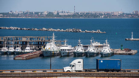 Moscow reveals target of strike on key Ukrainian port