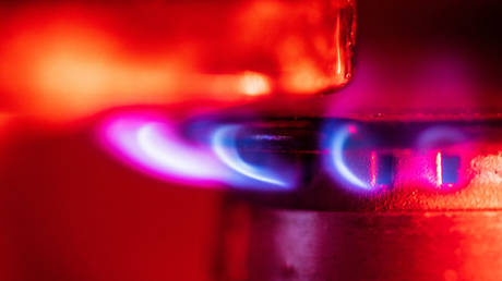 EU announces plan for Russian gas substitute
