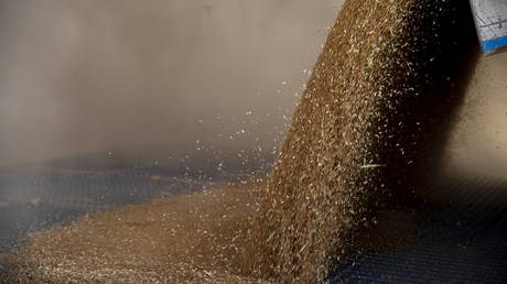 UN comments on Ukraine grain export deal