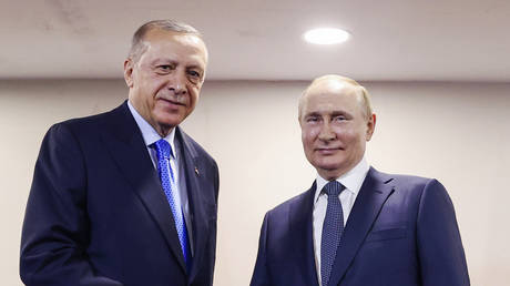 Erdogan explains Putin to the West