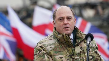 UK army will grow – defence secretary