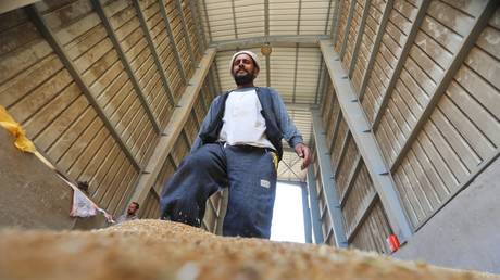 A wheat worker is seen working to unload the wheat carried by the pickup trucks at a silo in Benha, Qalyubia province, Egypt on May 19, 2022.