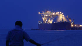 Japan warned about Russian gas supply