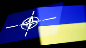 Ukraine admits no potential to join NATO anytime soon