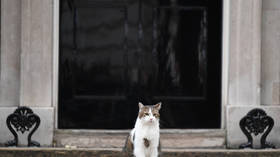 PM Johnson’s game of cat and mouse over soon – Chief Mouser