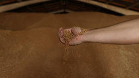 US comments on ‘Plan B’ for Ukraine grain exports
