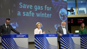 EU members accept gas rationing – DPA