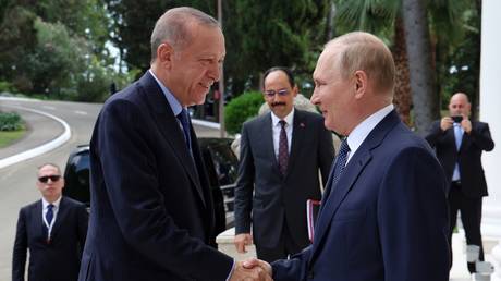 Russian President Vladimir Putin meets Turkish President Recep Tayyip Erdogan in Sochi, Russia, on August 5, 2022.