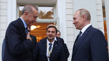 Vladimir Putin (R) and Recep Tayyip Erdogan (L) thank each other after their talks in Sochi, Russia, August 5, 2022 © AP / Vyacheslav Prokofyev