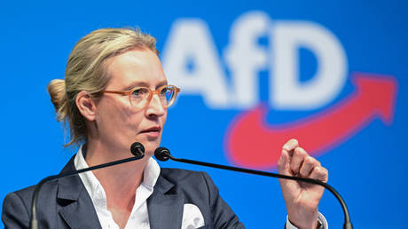 Alice Weidel © Bernd Weißbrod / picture alliance via Getty Images