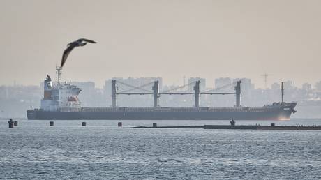 The cargo ship Navi-Star with a load of corn sails from Odessa, Ukraine, August 5, 2022.