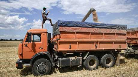 Crimea sets grain harvest record