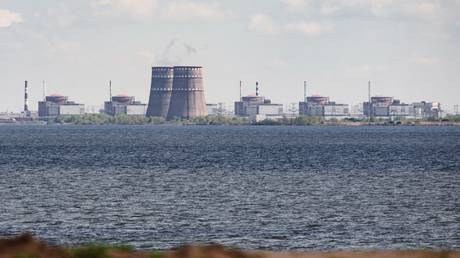 FILE PHOTO: the Zaporozhye power plant