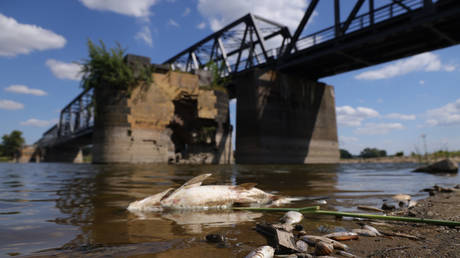 Poland and Germany face massive environmental disaster