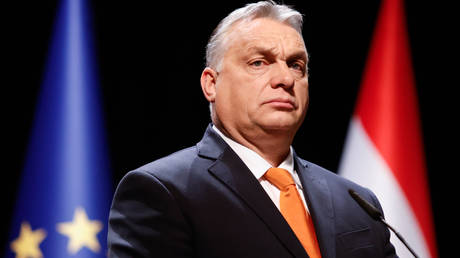 Viktor Orban © Luka Dakskobler / SOPA Images / LightRocket via Getty Images