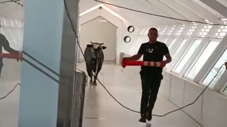 Raging bull fees by means of Israeli financial institution (VIDEOS)