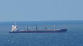 The first ship carrying Ukrainian grain arrives in Turkey