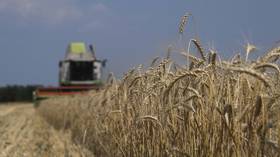 Russia’s food safety guaranteed by grain harvest — official