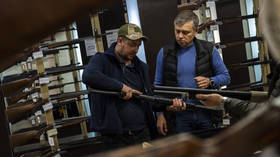 Ukraine to legalize guns soon – minister