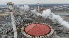 Ukraine bombs nuclear waste storage site inside Zaporozhye NPP – official