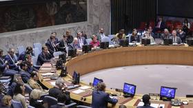 Turkish official calls for UN Security Council reform