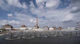 Ukrainian forces shell nuclear plant city – official
