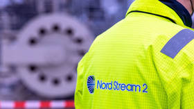 Nord Stream 2 ‘only sensible’ solution to gas crisis – German MP