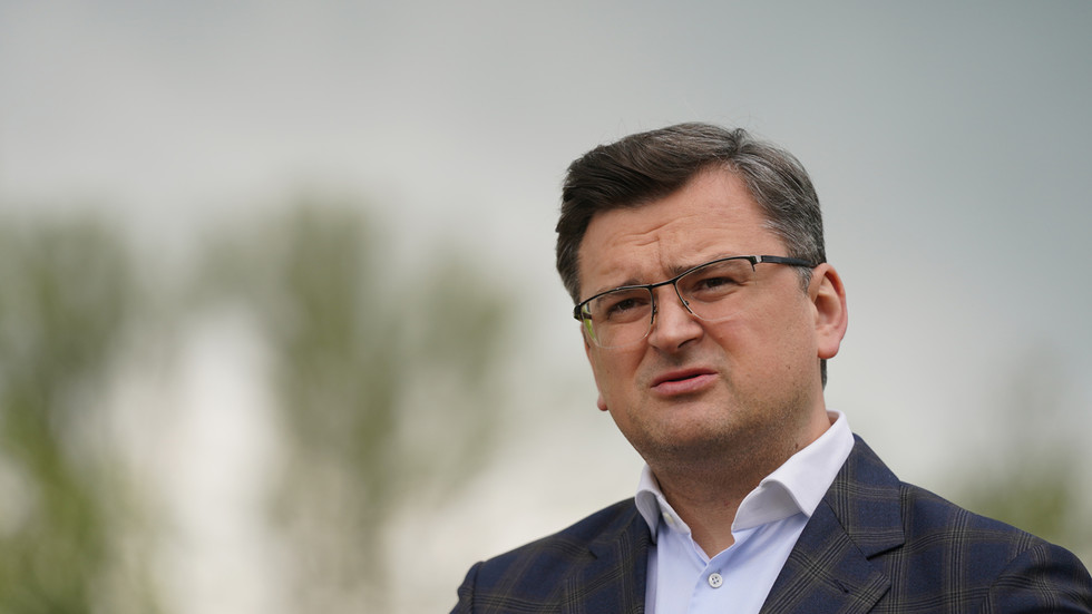 Ukraine slams 'disappointing' Germany