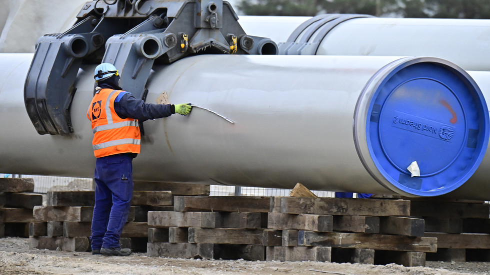 German politician predicts fate of Nord Stream 2