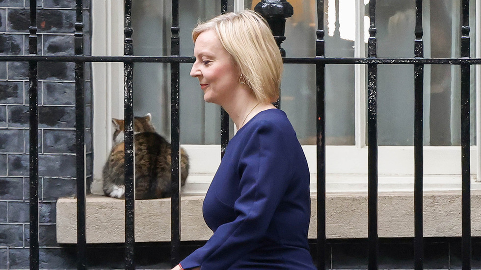 Majority of Brits need Liz Truss to resign – ballot — RT World Information