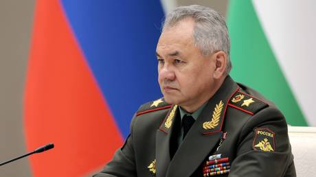 Russian Defence Minister Sergei Shoigu © Sputnik / Vadim Savitskii