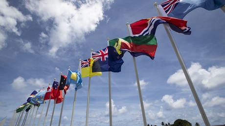 FILE PHOTO: The national flags of Pacific Island countries are on display on the tiny island nation of Nauru.