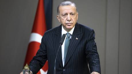 Europe has itself to blame for gas crisis – Erdogan