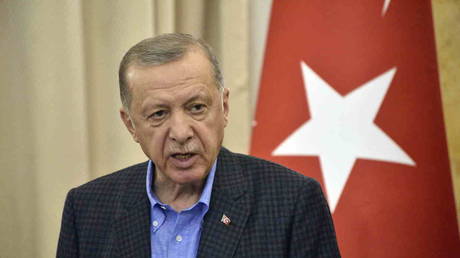 FILE PHOTO: Turkish President Recep Tayyip Erdogan.