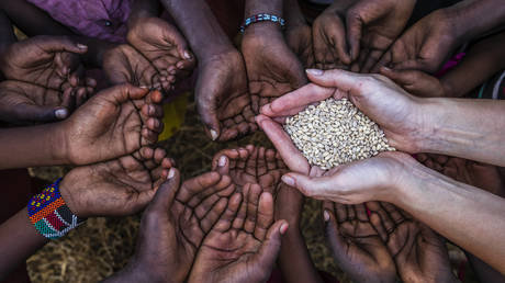 Ukrainian grain going to EU instead of Africa – El Pais