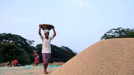 World’s largest rice exporter restricts shipments