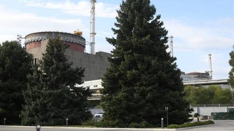 The reactors of the Zaporozhye nuclear power plant. © Sputnik / Konstantin Mihalchevskiy