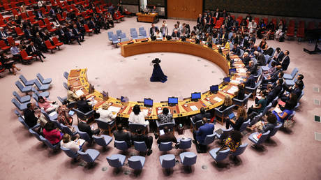 Germany outlines UN Security Council ambition