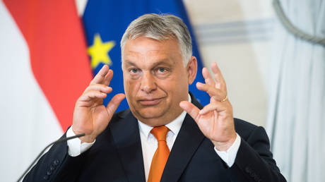 Brussels’ sanctions caused crisis – Orban 